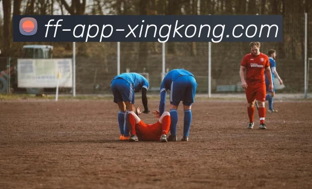 星空体育官网APP 封面图
